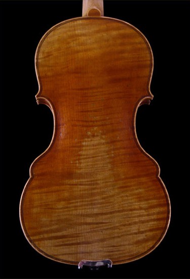 AES Dahlia 5-string violin