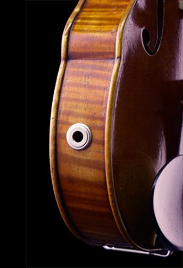 AES Dahlia 5-string violin