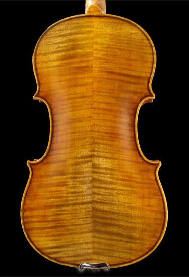 AES London 5-string violin back
