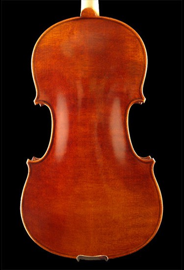 AES Marinette Violin back view